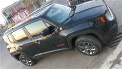 جيب رينيجيد